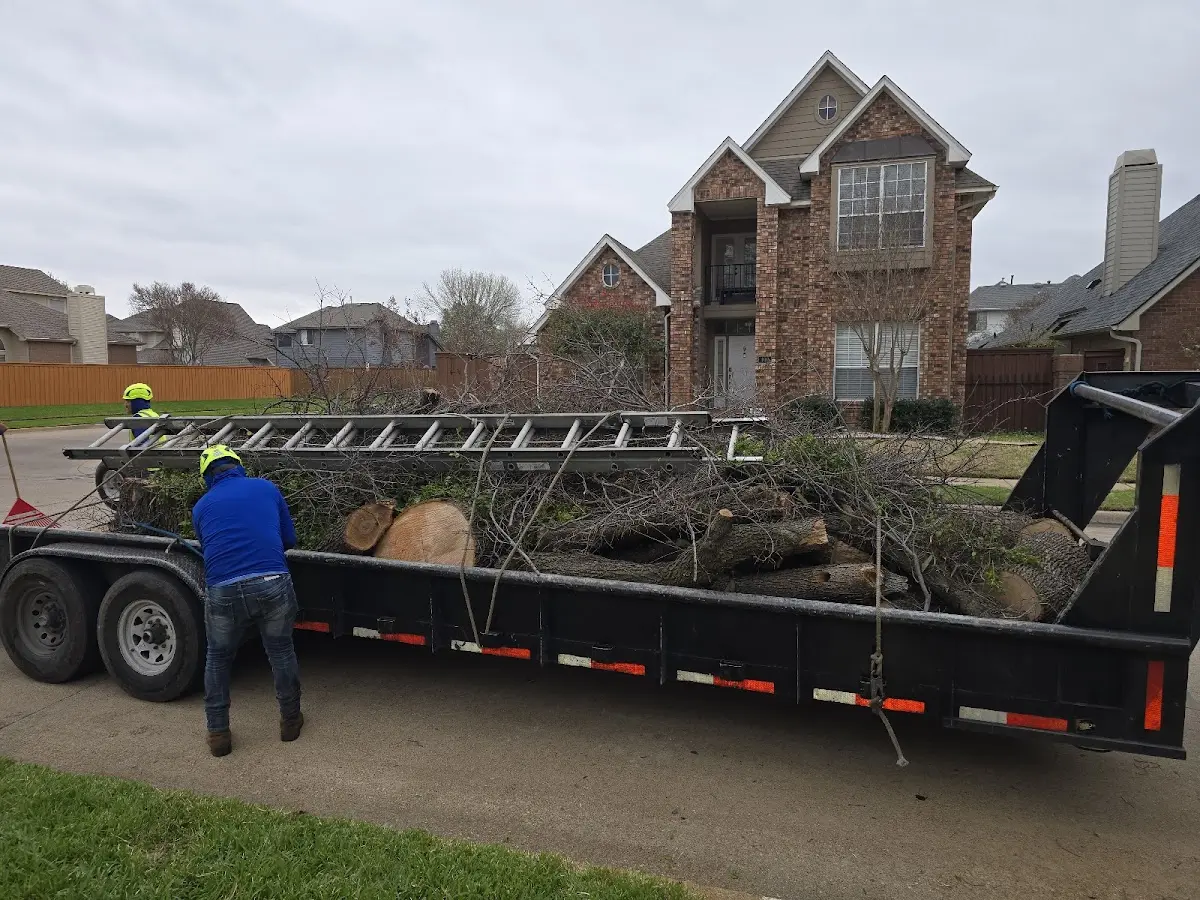 Expert Tree Removal with proper safety equipment in Baldwin Place